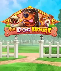 From Pragmatic Play comes The Dog House, bringing you an adorable adventure through lovable dogs. Enjoy features including free spins, designed for delivering joyful moments. Ideal for pet lovers a cheerful atmosphere alongside lucrative rewards.